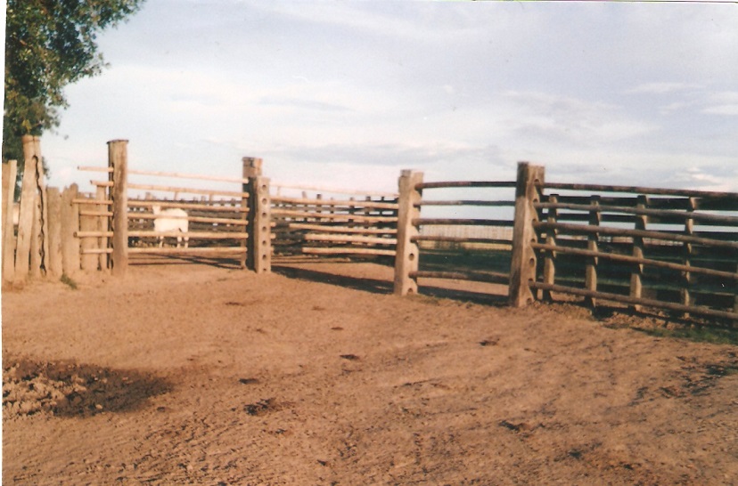 talanquera puerta tranca pasillos instalaciones de ganado corral encierro ganadería corrales ganaderos manejo de portón barreras estacas portones pasaje encerramientos establecimiento 0002 talanquera puerta tranca pasillos instalaciones de ganado corral encierro ganadería corrales ganaderos manejo de portón barreras estacas portones pasaje encerramientos establecimiento 0002 talanquera puerta tranca pasillos instalaciones de ganado corral encierro ganadería corrales ganaderos manejo de portón barreras estacas portones pasaje encerramientos establecimiento 0002